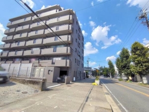 現地と前面道路 その他現地