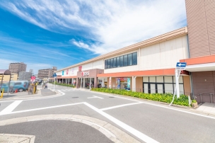 【スーパー】ピアゴ植田店 750m 周辺環境
