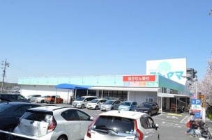 【ドラッグストア】ドラッグスギヤマ植田店 850m 周辺環境